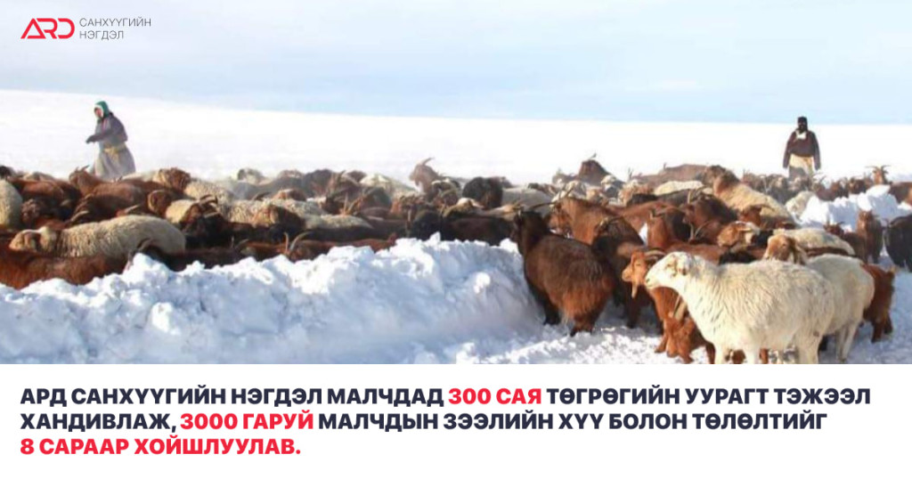 photo_2024-02-23_17-19-55